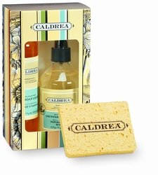 Caldrea Basil Blue Sage Kitchen Gift Set 8 oz. Countertop Cleanser & Dish Soap + Sponges RARE