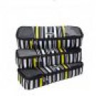 eBags Slim Packing Cube Ltd Ed YELLOW STRIPE pattern Set of 3 case travel accessory
