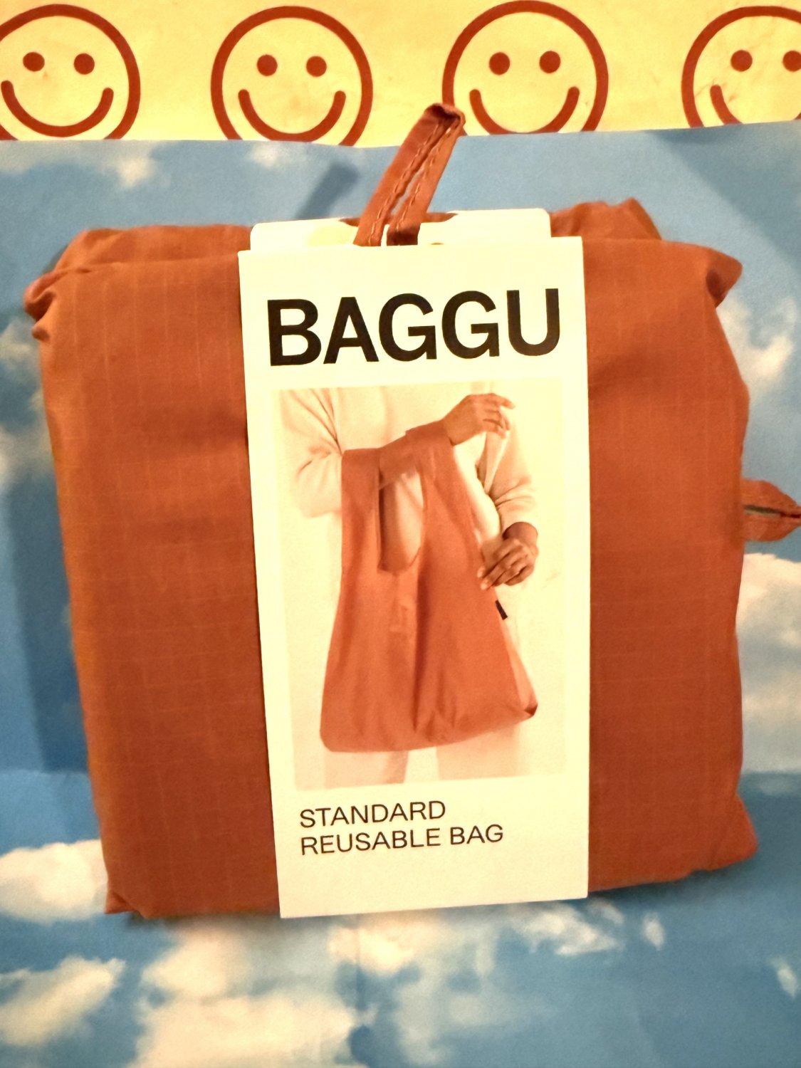 Baggu Standard Bag Terracotta brown NIP recyclable reusable shopping travel pouch