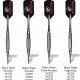 Bottelsen Devastator Soft Tip Darts