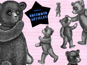 Where the Bears Are