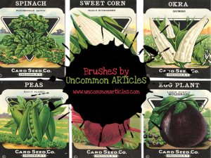 Antique Seed Packets