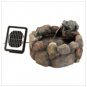 Frog Hollow Solar Water Fountain