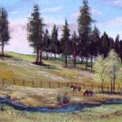 Horses in Pasture