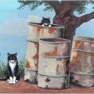 Cats and Barrels