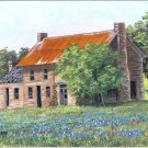 Texas Stone House and Bluebonnets
