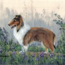 Farm Collie Painting Farm Collie Painting
