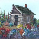 Granny's Flower Shed & garden Granny's Flower Shed & garden