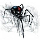 SPIDER STICKER - RARE NEW BLACK WIDOW Decal