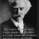 famous literary figure MARK TWAIN inspirational QUOTE POSTER 20x30 unique