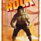 CLASSIC poster THE INCREDIBLE HULK green GROWLING flexing MUSCLES 20x30-PY2 CLASSIC poster THE INCREDIBLE HULK green GROWLING flexing MUSCLES 20x30-PY2