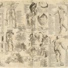 ANATOMICAL CHART CYCLOPAEDIA poster of human body detailed 1728 20x30 - SW0 ANATOMICAL CHART CYCLOPAEDIA poster of human body detailed 1728 20x30 - SW0