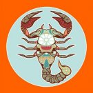 scorpio astrology ART POSTER 20x30 THE SCORPION zodiac symbolic BRIGHT new scorpio astrology ART POSTER 20x30 THE SCORPION zodiac symbolic BRIGHT new