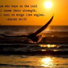 Isaiah 40:31 Biblical Verse INSPIRATIONAL POSTER 20x30 Hope in the Lord