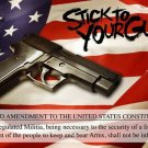 STICK TO YOUR GUNS political poster SECOND AMMENDMENT RIGHTS 20x30 bear ARMS