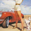 DITZLER AUTOMOTIVE FINISHES SEXY GIRL poster tall brunette car dog 20x30 -RW0