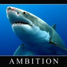 GREAT WHITE SHARK ambition motivational poster 20x30 PERSISTENCE empowering