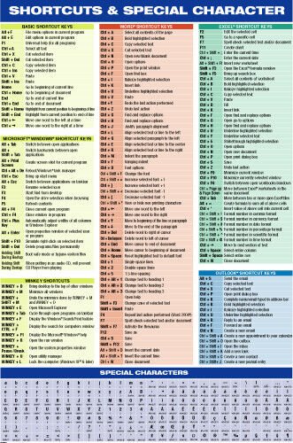 windows PC Computer keyboard & Special Character Chart Poster 24X36 RARE-PY2