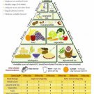 VEGETARIAN FOOD PYRAMID EDUCATIONAL POSTER 20x30 healthy living HOT NEW RARE