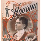 HARRY HOUDINI KING OF CARDS vintage magic illusion poster1895 20x30 HOT NEW