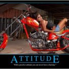 SEXY MOTORCYCLE AND BABE photo poster RACY shiny chrome ADULT THEME 20x30