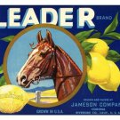 SUNKIST LEMONS vintage advertising HORSE ripe fruit CLASSIC new gem 20x30