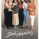 SHIRLEY MACLAINE JULIA ROBERTS steel magnolias CLASSIC MOVIE POSTER 20x30