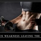 pain is WEAKNESS leaving the BODY inspirational motivational POSTER 20x30