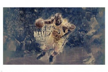 the BLACK MAMBA shall RISE kobe BRYANT poster 20x30 Basketball Star cool