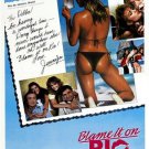BLAME IT ON RIO 1984 movie poster SEXY romance DEMI MOORE 20x30  EXOTIC