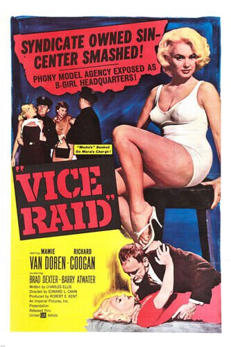 VICE RAID movie POSTER mamie VAN DOREN richard COOGAN sexy EXPOSE 20x30