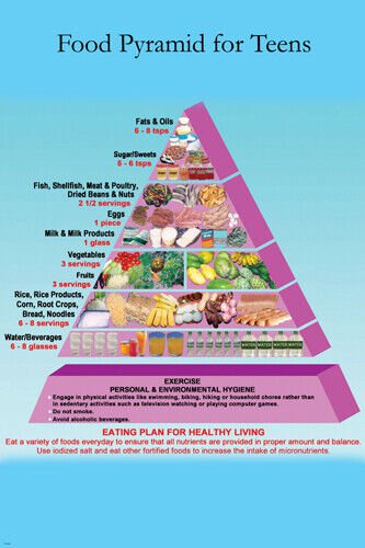 Food Pyramid Teens poster EDUCATIONAL diet RECOMMENDATIONS 20x30 illustrated