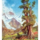 SWITZERLAND TOURISM oberland bern mountain VINTAGE AD POSTER 20x30 nature