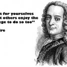 PHILOSOPHER VOLTAIRE QUOTE POSTER think for yourselves SAGE ADVICE 20x30 new