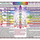 CHAKRA CENTERS CHART very detailed poster 20x30 new age health TOP NOTCH  - VY2