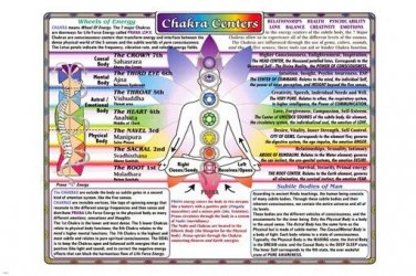 CHAKRA CENTERS CHART very detailed poster 20x30 new age health TOP NOTCH  - VY2
