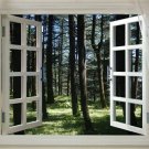 WINDOW INTO THE FOREST scenic poster grass trees sunlight 20x30 peaceful WINDOW INTO THE FOREST scenic poster grass trees sunlight 20x30 peaceful