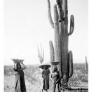 Edward S Curtis Saguaro Gatherers SCENIC POSTER MARICOPA ARIZONA 1907 20x30 Edward S Curtis Saguaro Gatherers SCENIC POSTER MARICOPA ARIZONA 1907 20x30