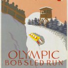 Olympic BOBSLED RUN Lake Placid vintage poster NY Conservation Dept 20x30