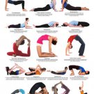 YOGA BACKBENDS CHART POSTER 17 poses EASY TO READ HOW-TO new 20x30 YOGA BACKBENDS CHART POSTER 17 poses EASY TO READ HOW-TO new 20x30