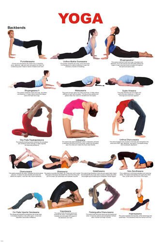 YOGA BACKBENDS CHART POSTER 17 poses EASY TO READ HOW-TO new 20x30