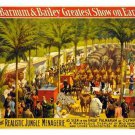 the BARNUM & BAILEY vintage circus poster JUNGLE ANIMALS 20x30 collectors