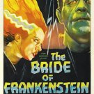 bride of FRANKENSTEIN campy classic MOVIE POSTER boris KARLOFF 20x30 bold