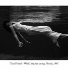 toni frissell WEEKI WACHEE SPRING photo poster FLORIDA 1947 20x30