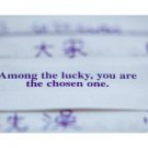 Chinese FORTUNE COOKIE MESSAGE poster 20x30 CUTE funny POSITIVE message NEW