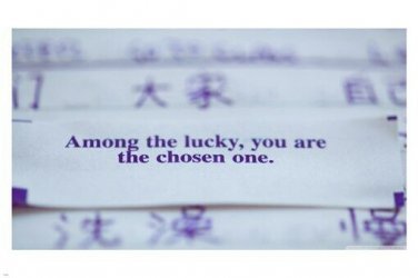 Chinese FORTUNE COOKIE MESSAGE poster 20x30 CUTE funny POSITIVE message NEW