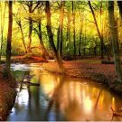 AUTUMN SCENE BY STREAM nature poster FALL COLORS collectors 20x30 rare HOT