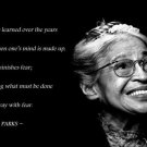 civil rights ROSA PARKS Motivational Poster 20x30 DO AWAY WITH FEAR QUOTE