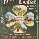 VINTAGE NORTH OF IRELAND TRAVEL POSTER beautiful country larne design 20x30