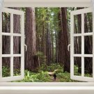 REDWOODS SEQUOIA scenic window poster TALL TREE GROVE unique new 20x30 GEM